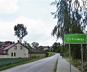 Ostrowąs