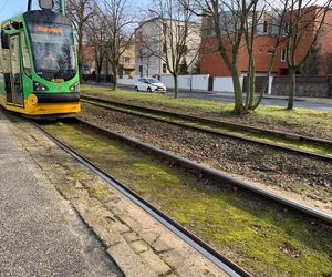 Zderzenie tramwaju z dźwigiem w Poznaniu. Kilka osób rannych