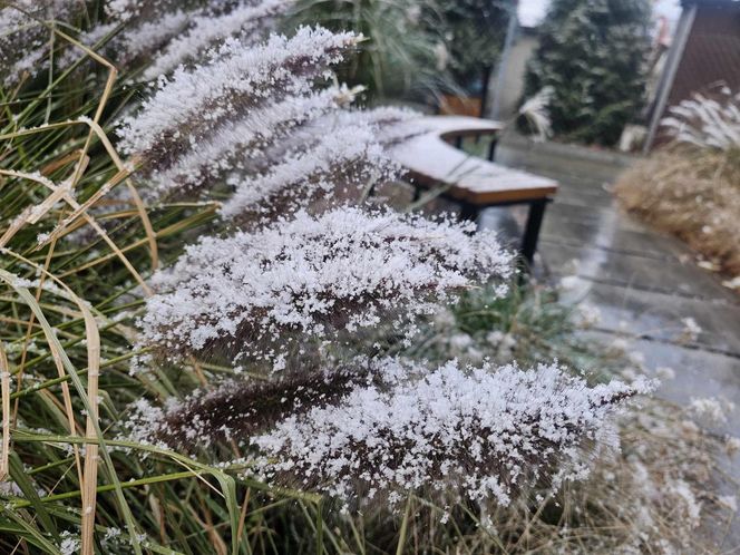 Pierwszy śnieg na Podkarpaciu