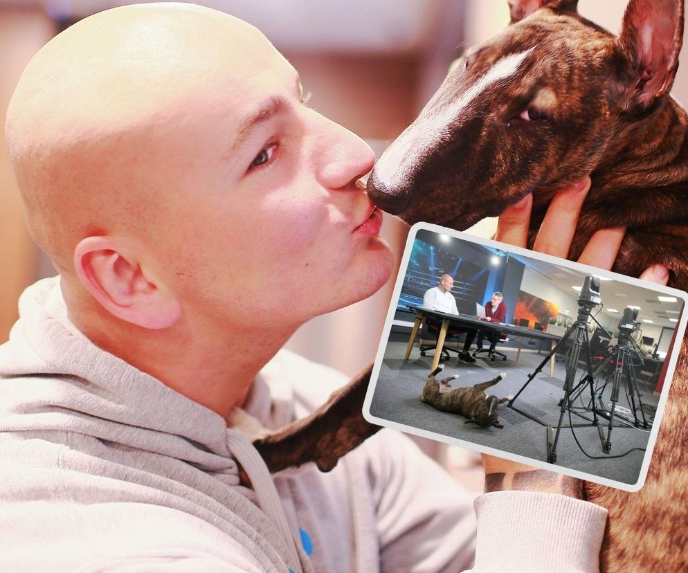 Artur Szpilka i Cycu