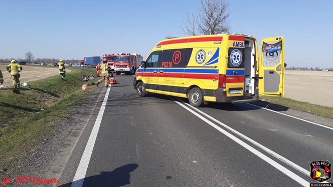 Jechali z dziadkiem na wycieczkę. Zginęli w zderzeniu z tirem