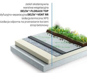 Zielony dach