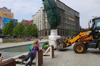 Palmy wróciły na rynek w Katowicach