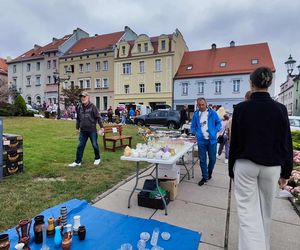 Jarmark Staroci w Wodzisławiu Śląskim