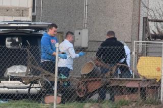 Rozrzutnik zmielił rolnika