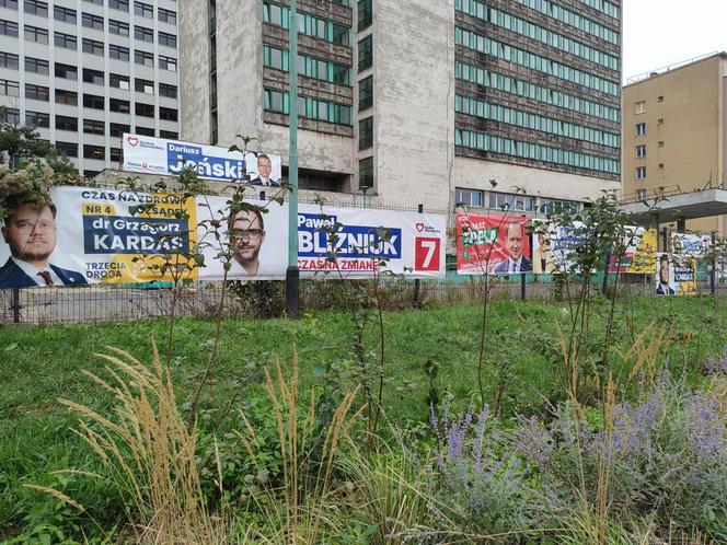 Łódź tonie w plakatach wyborczych. Kto jest odpowiedzialny za ich późniejsze usunięcie?