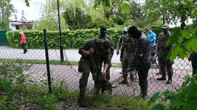 Szokujące znalezisko w miejscu zaginięcia Iwony Wieczorek. Niewiarygodne, co odnalazł Rutkowski [Rutkowski Story wideo]