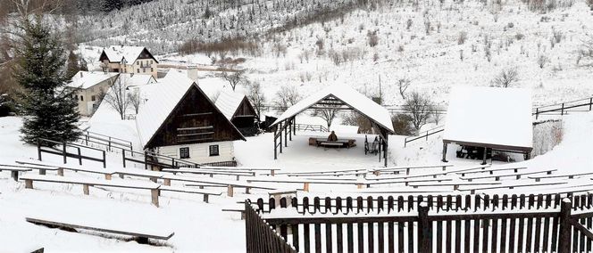 Skansen w Pstrążnej 