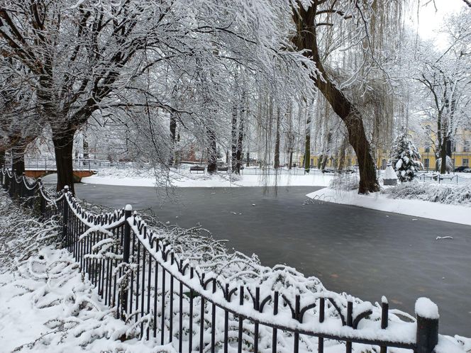 Leszno wygląda bajkowo! Na walentynki sypnęło śniegiem