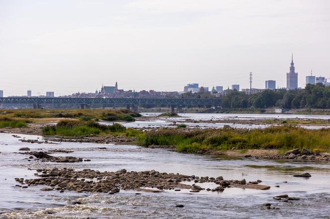 Wisła wysycha - rekordowo nisko poziom wody. Zobacz zdjęcia