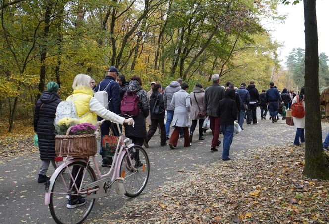 Tłumy na cmentarzu na Miłostowie