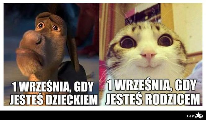 Memy o szkole 2020. Nauka u dobie koronawirusa. Żarty z nowej sytuacji 