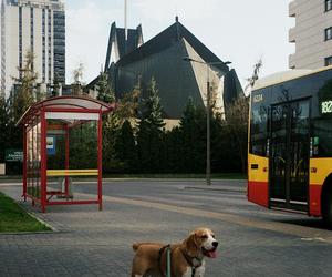 Miasto do mieszkania