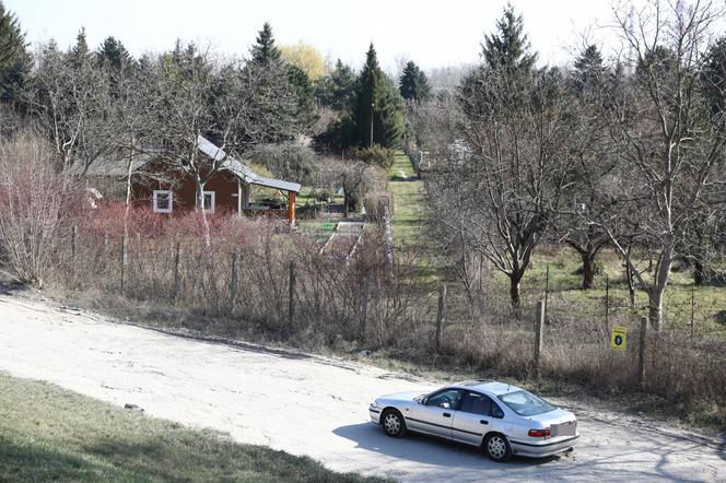 Ogródki działkowe w czasie pandemii