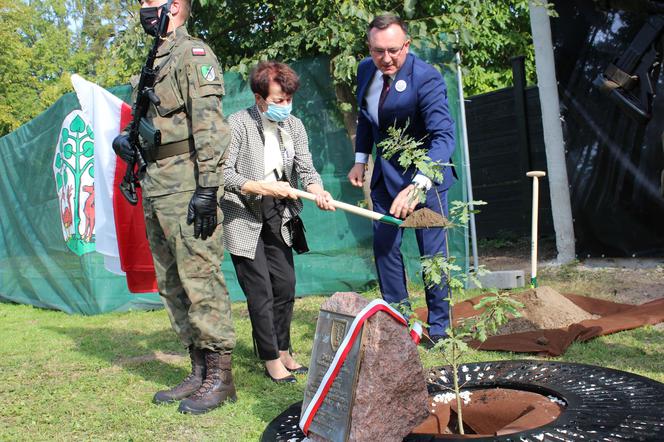 W Braniewie pojawił się kolejny dębowy pomnik. Symoliczne drzewo  zapuściło korzenie na Skwerze Sybiraków