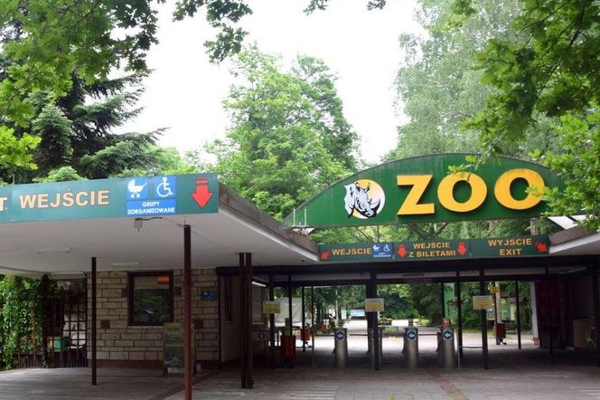 Nowe ZOO