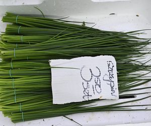  Ceny nowalijek na warszawskich bazarach szokują. Byliśmy i sprawdziliśmy ile trzeba zapłacić