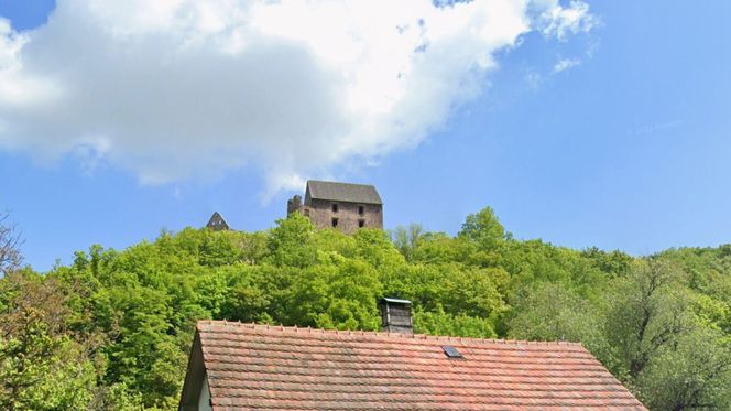 Zamek Świny