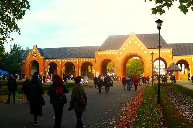 1 listopada na Cmentarzu Centralnym w Szczecinie