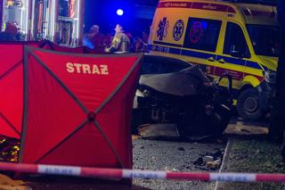 Śmiertelny wypadek w Nowogrodzie Bobrzańskim. Domniemany sprawca znaleziony półżywy w zaroślach [ZDJĘCIA]