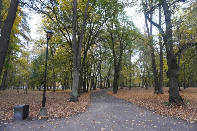 Park Lubomirskich w Białymstoku jesienią 