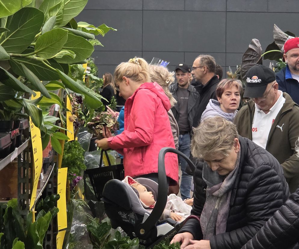 Festiwal Roślin znów zachwycił bydgoszczan! Setki gatunków i wyjątkowa atmosfera
