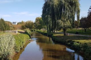 To osiedle w Białymstoku jest najpiękniejsze! AI przekonuje: Zielone i kluczowe dla komfortu życia