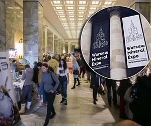 Mineral Expo w Pałacu Kultury ze szkieletem ichtiozaura