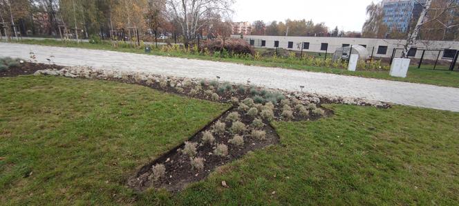 Rabaty w kształcie kontynentów w Ogrodzie Botanicznym w Kielcach