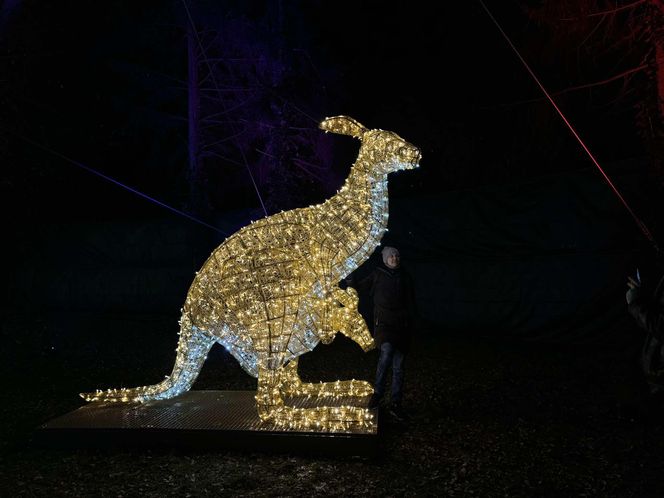 Park Miliona Świateł w Orientarium Zoo Łódź