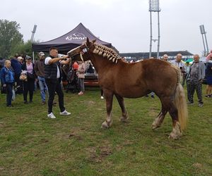 Międzynarodowe Dni z Doradztwer Rolniczym 2025 w Siedlcach