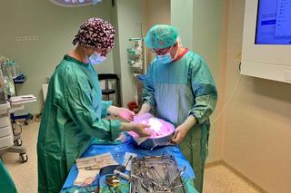 Ponad sto przeszczepień w SPWSZ w 2023 roku