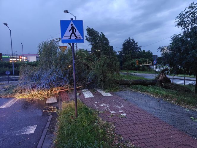 Orkan przechodzi przez województwo śląskie. Gwałtowne burze i ulewny deszcz