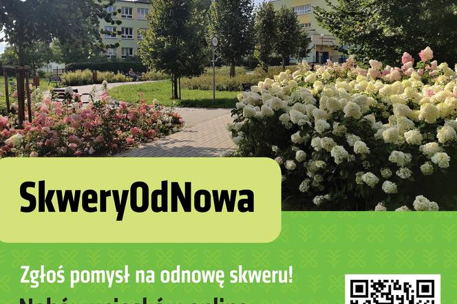 Lublin - SkweryOdNowa:, czyli rewitalizacja zieleni z nowego budżetu