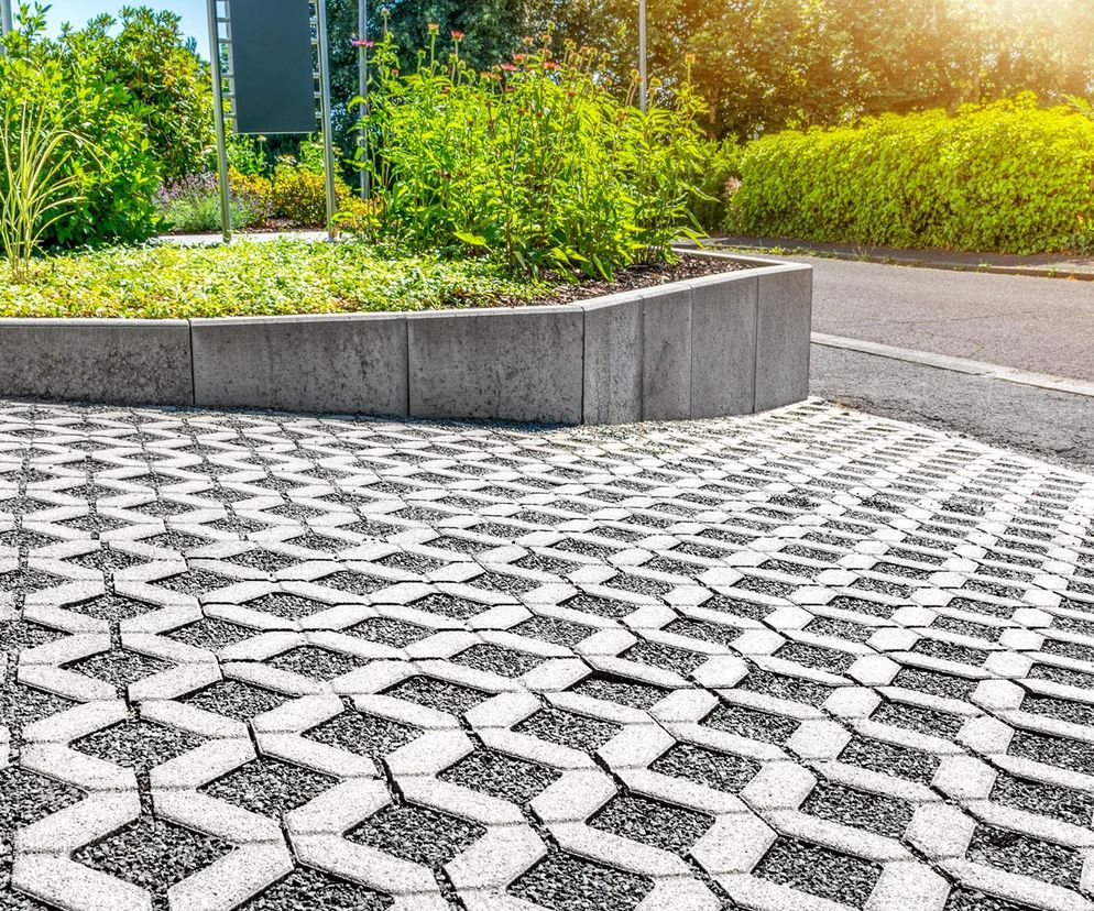 Powierzchnia biologicznie czynna ma umożliwiać naturalną wegetację roślin
