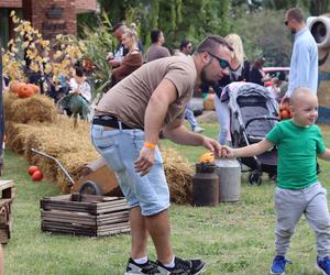 Nowa atrakcja w Lublinie dla dzieci! Farma dyń już działa