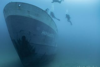 Top 5 miejsc do nurkowania na Malcie