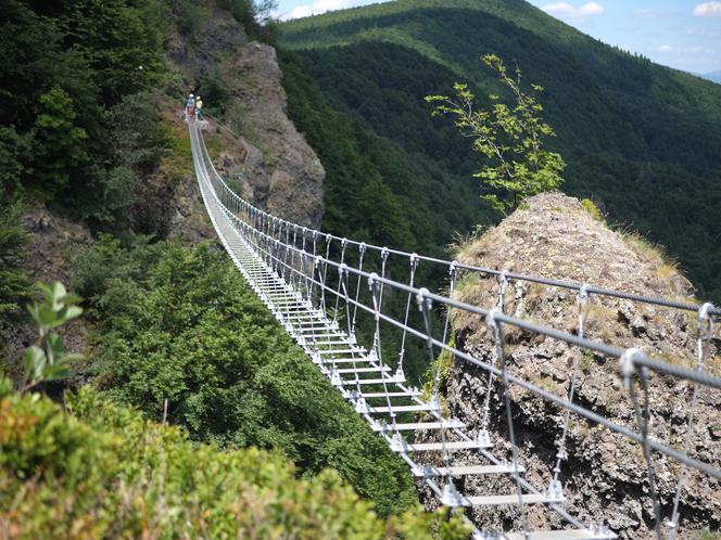 Niesamowity most linowy TYLKO DLA ODWAŻNYCH