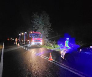 Śmiertelny wypadek pod Zgorzelcem. Kierujący osobówką zginął, dziecko zostało ranne [ZDJĘCIA]