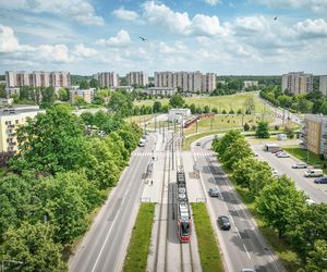 W tych miastach województwa śląskiego jest najwięcej Żabek