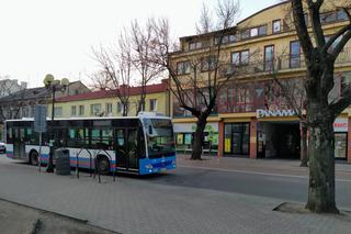 Jak dojechać do siedleckich cmentarzy? Rozkład jazdy dodatkowych linii autobusów MPK 