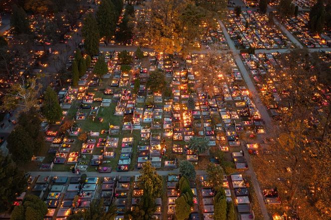 Tysiące zniczy rozświetliło polskie cmentarze. Niezwykły widok po zmroku