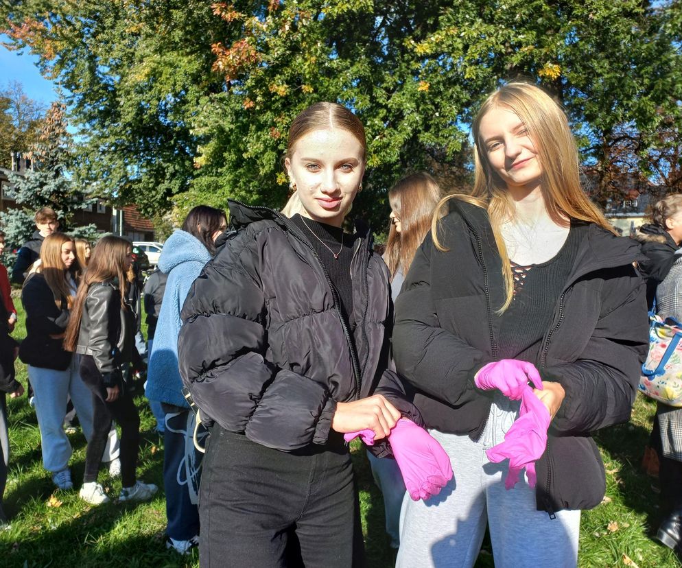 2 tysiące żonkili posadzono na Polu Nadziei w Lesznie. To symbol walki z rakiem