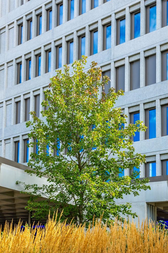 Nowy budynek Wydziału Psychologii Uniwersytetu Warszawskiego