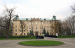 Pałac w Witosławiu