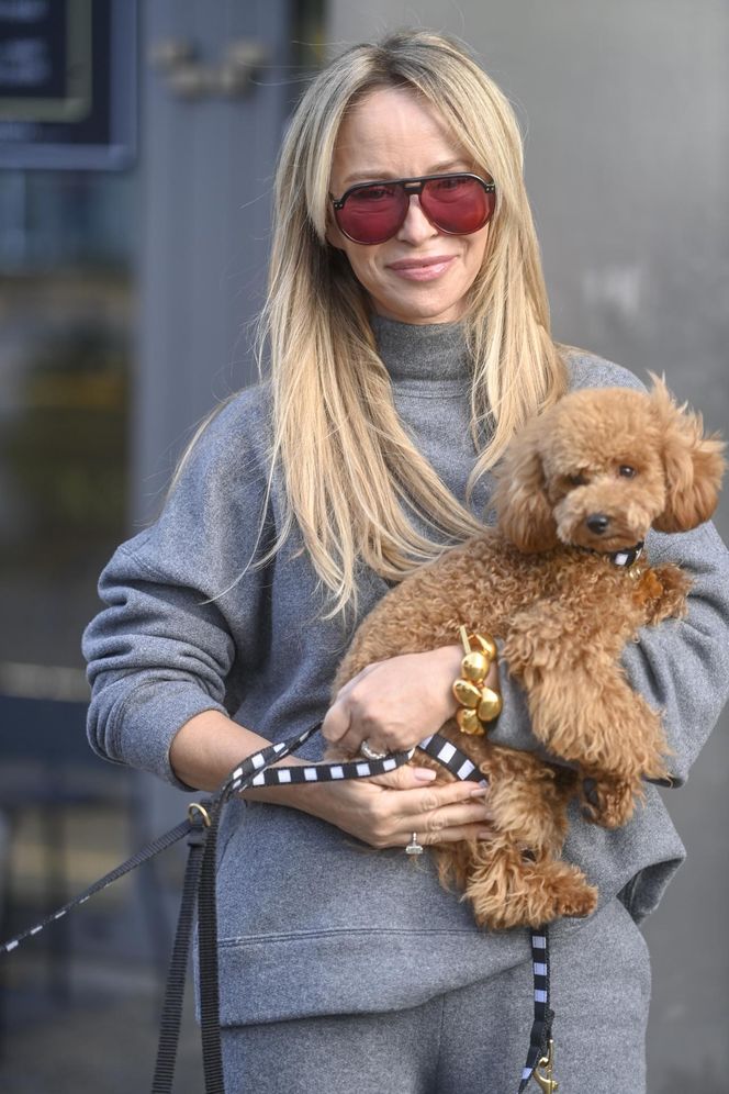 Te psy skradły serca gwiazd! 