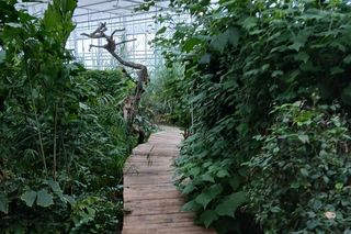 Spacer po ogrodzie botanicznym odbywa się w dniach 18 i 19 stycznia