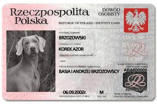 Na Wspólnej, pies Korek, dowód osobisty