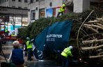 W Nowym Jorku stanęła choinka. Tłumy towarzyszyły jej transportowi