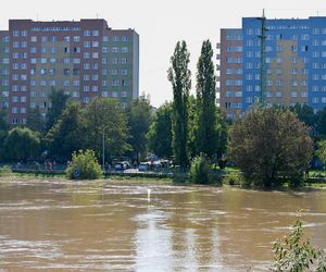 Tak wygląda Oława w czasach powodzi 2024 roku. Poruszający materiał